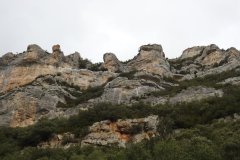 DSCN5727