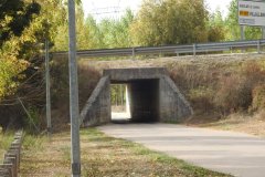 DSCN7461