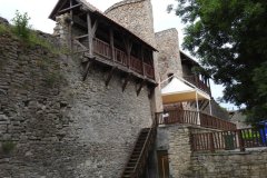 DSCN5006
