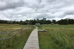 IMG_3622