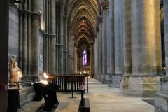 IMG_4501