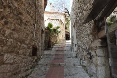 DSCN7990
