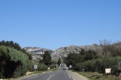 DSCN8447