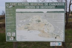 DSCN8459
