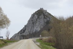 DSCN8972