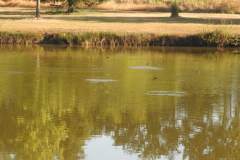 DSCN0059