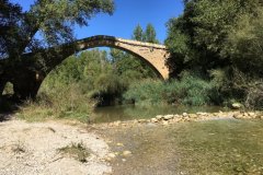 IMG_6351