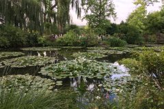 IMG_8692