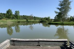 IMG_6011