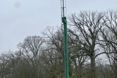 IMG_2648