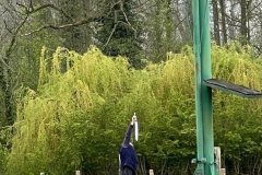 IMG_2654
