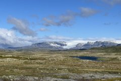 IMG_4197