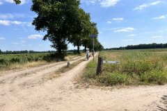 IMG_4516