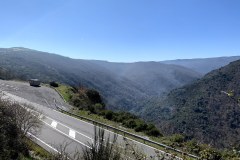 IMG_0070