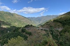 IMG_4556