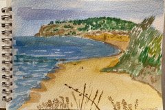 IMG_4978