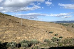 IMG_0102