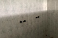 IMG_0113